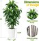 5ft Artificial Dracaena Tree – Faux Yucca with White Tall Planter for Home & Office Decor, Perfect for Housewarming